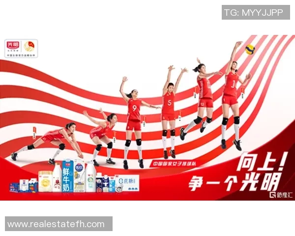 赛事动态更新：全球体育盛事一览及最新进展分析